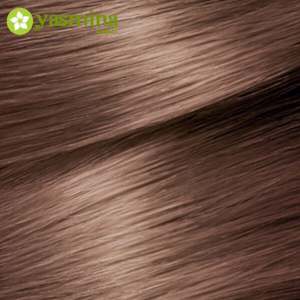 کیت رنگ مو گارنیر سری Color Naturals شماره 6N